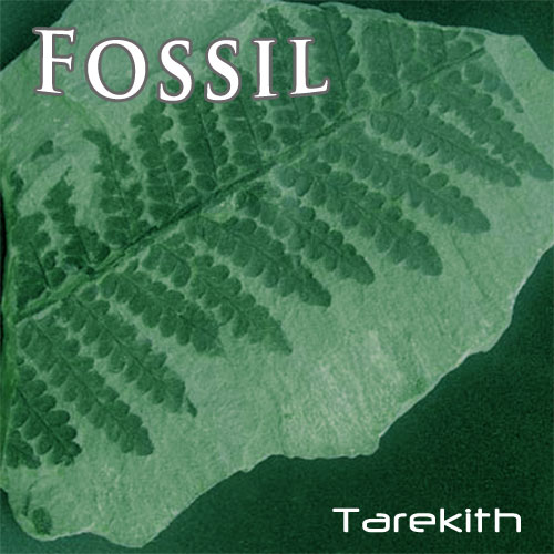 fossil