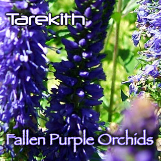 purple orchids